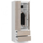 STAR S60 2D 2SZ gardróbszekrény - fényes cappuccino - galéria #1